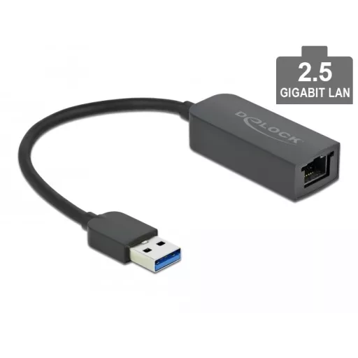Delock USB A-típusú adapter apa   2,5 Gigabit LAN kompakt (66646)