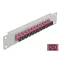 Delock 10  üvegszálas patch panel 12 portos SC Simplex ibolya 1U szürke (66785)