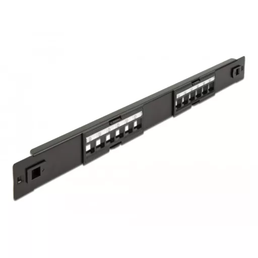 Delock 19  Keystone Patch Panel 12 portos eszközmentes (66821)