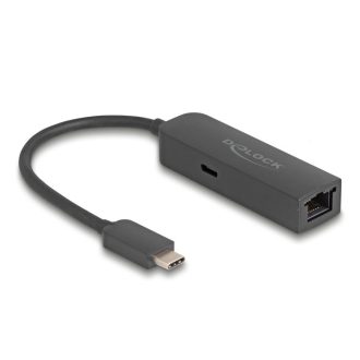   Delock Szürke USB Type-C  adapter tápellátó portos 2,5 Gigabit LAN-hez 100 watt (66938)