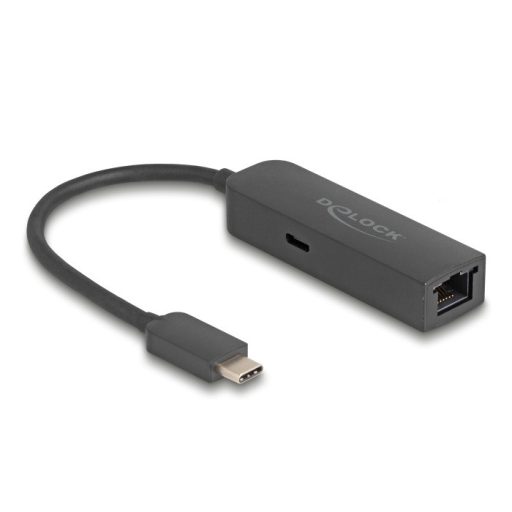 Delock Szürke USB Type-C  adapter tápellátó portos 2,5 Gigabit LAN-hez 100 watt (66938)