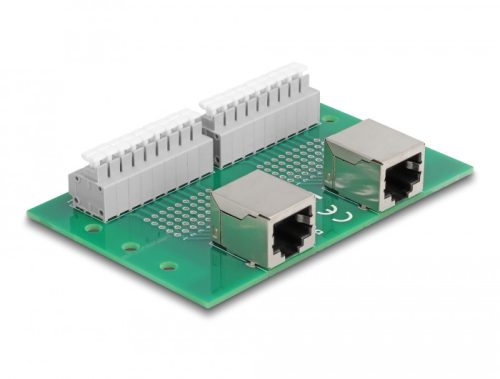 Delock RJ45 2 db. anya - 2 db. Terminal block nyomógombbal DIN sínhez