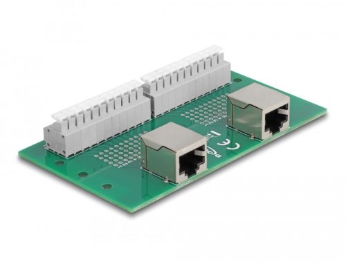 Delock RJ50 2 db. anya - 2 db. Terminal block nyomógombbal DIN sínhez