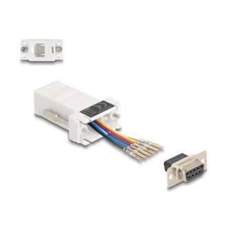   Delock D-Sub 9-tűs anya   RJ12 anya összekötő adapter fehér (67078)