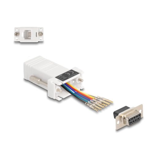 Delock D-Sub 9-tűs anya   RJ12 anya összekötő adapter fehér (67078)