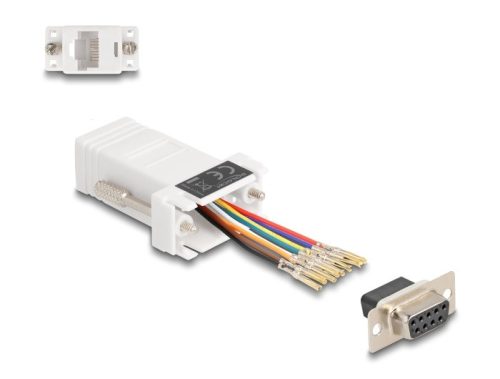 Delock D-Sub 9-tűs anya   RJ45 anya összekötő adapter fehér