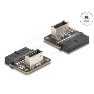   Delock USB 5 Gbps átalakító, tűfejes anya   belső A kulcs anya ívelt (67239)