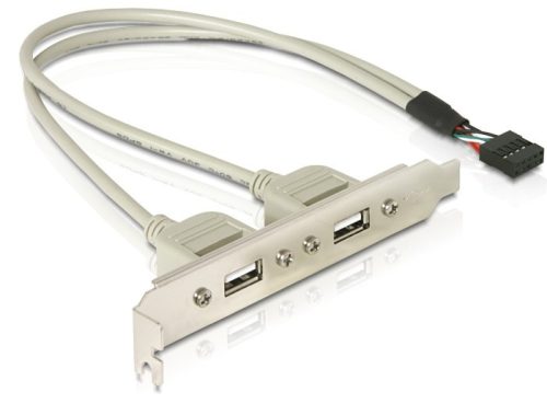 Delock Slot konzol 1x belső USB 10 tűs > 2x USB2.0 külső (71000)