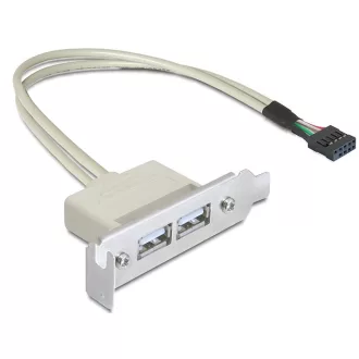 Delock Slot konzol USB 2.0 low profile 2 port (83119)