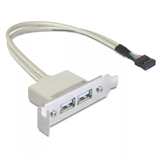 Delock Slot konzol USB 2.0 low profile 2 port (83119)