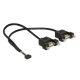 Delock kábel USB 2.0 tűs fejléc 2,00 mm-es 10 tűs anya>2xUSB 2.0 Type-A anya panelre szerel. 25x25cm (84832)