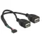 Delock USB 2.0-s csatlakozóhüvellyel ellátott kábel, 2,00 mm, 10 tus > 2 x USB 2.0 A-típusú csatlako (84933)
