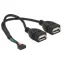 Delock USB 2.0-s csatlakozóhüvellyel ellátott kábel, 2,00 mm, 10 tus > 2 x USB 2.0 A-típusú csatlako (84933)