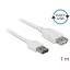 Delock Bővítő kábel EASY-USB 2.0-s A típusú csatlakozódugó > USB 2.0 A-típusú hüvely fehér 1 m (85199)