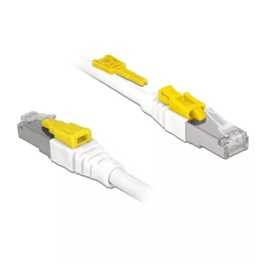 Delock Kábel 1 m-es RJ45 Secure csatlakozós Cat.6A (85331)
