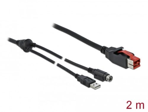 Delock PoweredUSB kábel apa 24 V > A-típusú USB apa + Mini-DIN 3 tűs apa 2 m, POS nyomtatókhoz és cs