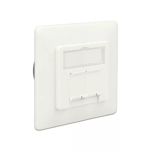Delock Modulos fali aljzat süllyesztett 2 Port Cat.6A LSA (86195)