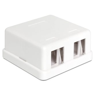 Delock Keystone 2 portos falra szerelhető doboz (86207)