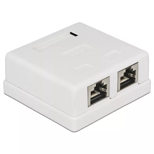 Delock Moduláris fali kimenet 2 Port Cat.6 (86269)
