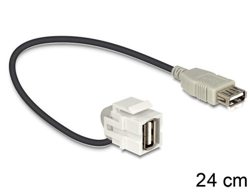 Delock Keystone modul USB 2.0 A anya > USB 2.0 A anya 110  kábellel