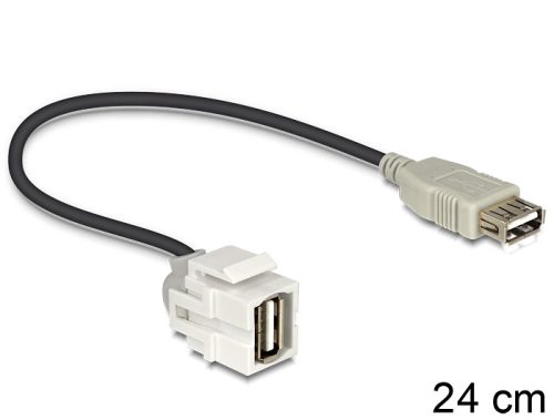 Delock Keystone modul USB 2.0 A anya > USB 2.0 A anya 250  kábellel