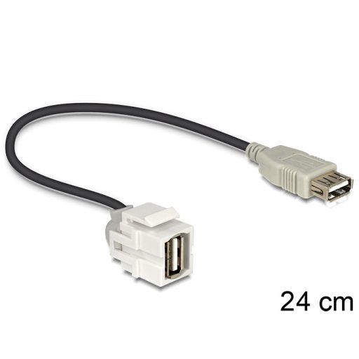 Delock Keystone modul USB 2.0 A anya > USB 2.0 A anya 250  kábellel (86329)