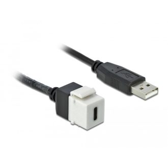   Delock Keystone modul, USB 2.0 C-csatlakozóhüvely > USB 2.0 A-csatlakozódugó, kábellel (86382)