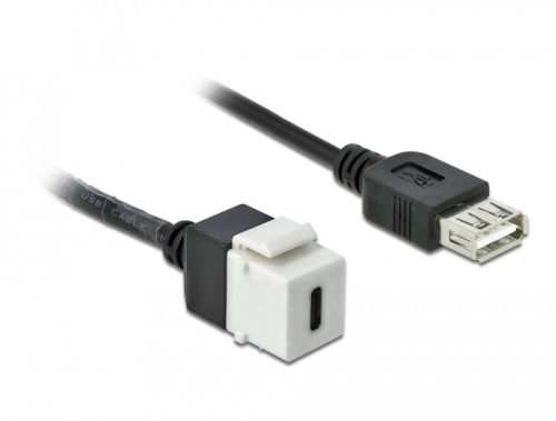 Delock Keystone modul, USB 2.0 C-csatlakozóhüvely > USB 2.0 A-csatlakozóhüvely, kábellel