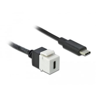   Delock Keystone modul, USB 3.0 C-csatlakozóhüvely > USB 3.0 C-csatlakozódugó, kábellel (86399)