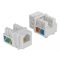Delock Keystone modul, RJ12-aljzat > LSA Cat.3 UTP, fehér (86498)