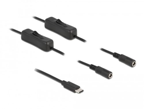 Delock USB Type-C  apa   2 db. DC 5,5 x 2,1 mm anya csatlakozójú, 1 méter hosszú kábel