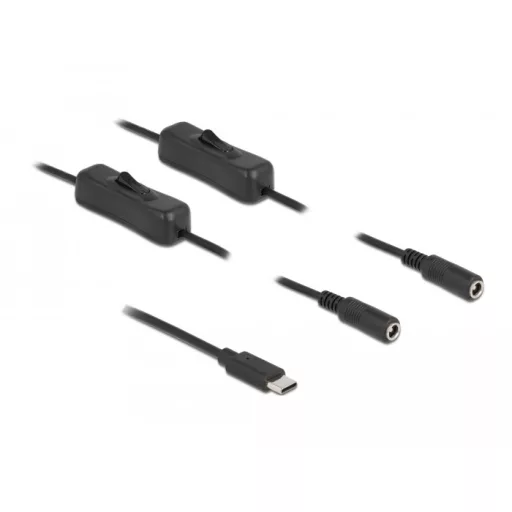 Delock USB Type-C  apa   2 db. DC 5,5 x 2,1 mm anya csatlakozójú, 1 méter hosszú kábel (86800)