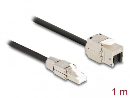 Delock Kábel RJ45 dugasz terepen szerelhető Keystone Modul RJ45 aljzathoz Cat.6A 1 m