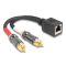 Delock RJ45 adapter kábel apa - 2 x RCA apa fekete, 20 cm (88172)