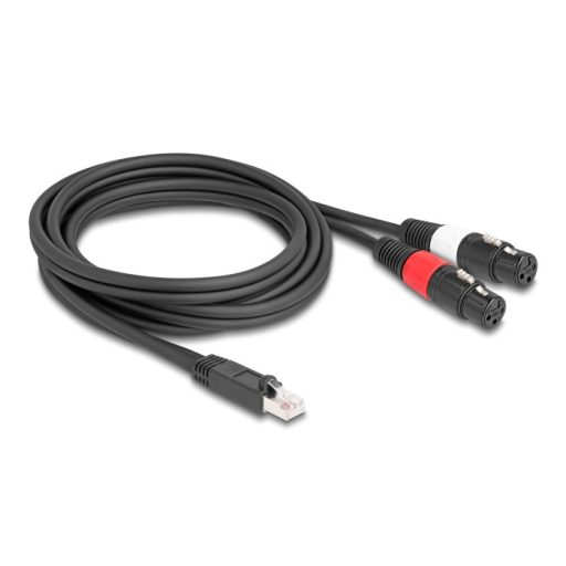 Delock Adapter RJ45 kábel apa - 2 x XLR 3 tűs anya fekete színű 2 m (88176)