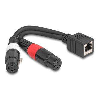   Delock Adapter RJ45 kábel anya - 2 x XLR 3 tűs anya fekete színű 20 cm (88178)