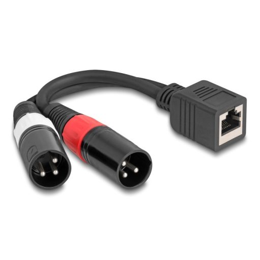 Delock Adapter RJ45 kábel anya - 2 x XLR 3 tűs apa, fekete színű 20 cm (88179)