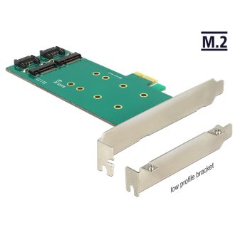   Delock PCI Express kártya > 2 x belső M.2 Key B 110 mm - Alacsony profilú (89473)