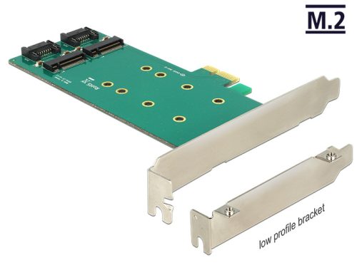 Delock PCI Express kártya > 2 x belső M.2 Key B 110 mm - Alacsony profilú (89473)