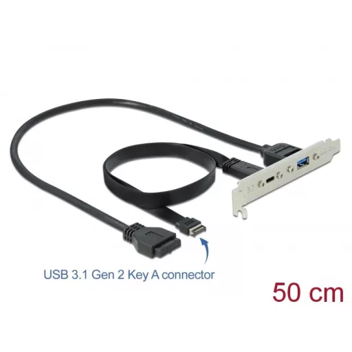 Delock Csatlakozó aljzat 1 x USB Type-C  és 1 x USB A-típusú porttal (89934)