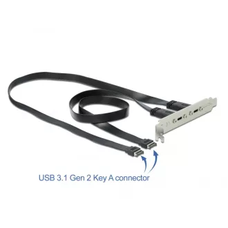 Delock Csatlakozó aljzat 2 x USB Type-C  porttal (89935)