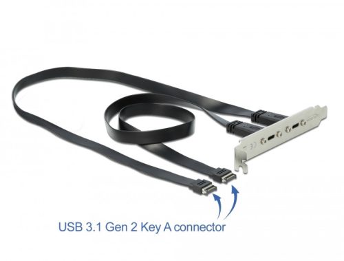 Delock Csatlakozó aljzat 2 x USB Type-C  porttal (89935)