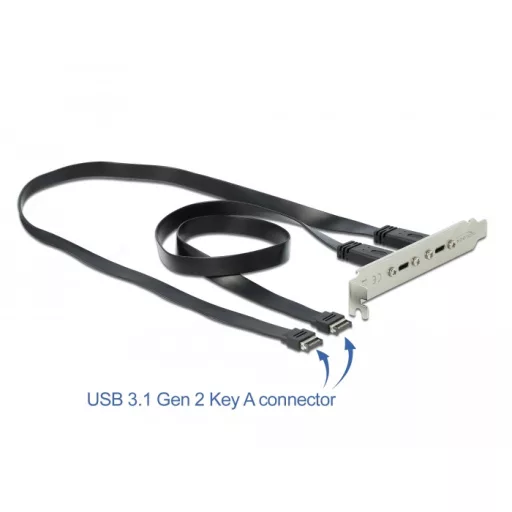 Delock Csatlakozó aljzat 2 x USB Type-C  porttal (89935)