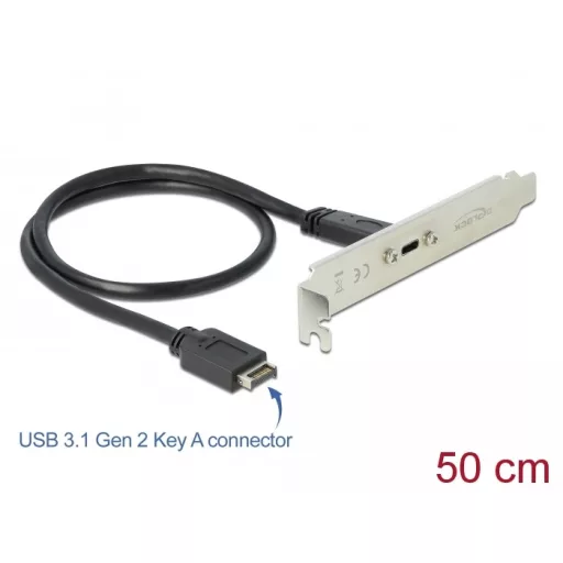 Delock Csatlakozó aljzat 1 x USB Type-C  porttal (89936)