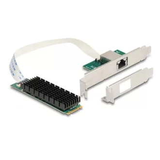   Delock Átalakító, M.2 aljzat B+M nyílással 1 x RJ45 10 Gigabit LAN (95274)