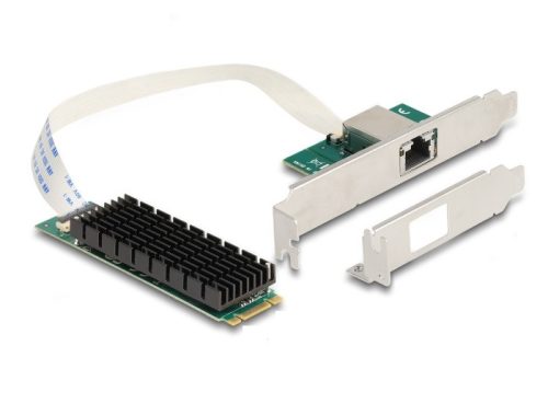 Delock Átalakító, M.2 aljzat B+M nyílással 1 x RJ45 10 Gigabit LAN (95274)