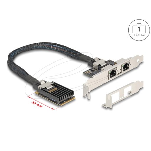 Delock Mini PCIe I/O PCIe teljes méretű 2 x RJ45 Gigabit LAN (95280)