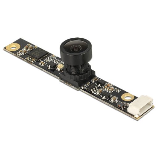 Delock USB 2.0 kamera modul 3,14 mega pixel 80  V5 fix fókusz (95978)