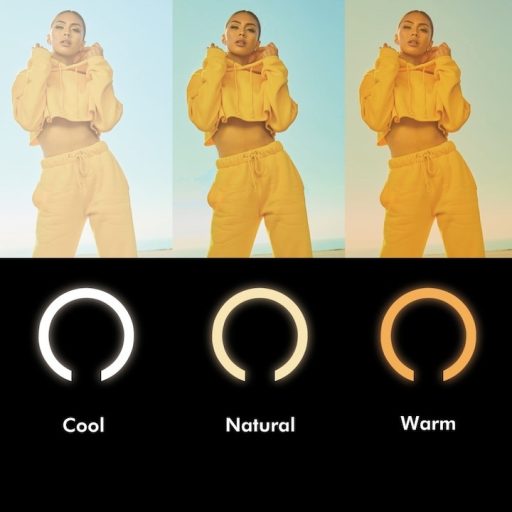 Logilink Okostelefon gyűrűs lámpa selfie stick állvánnyal, távzárral, átmérő 25 cm (AA0156)