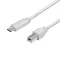 Logilink USB 2.0 Type-C kábel, C/M - USB-B/M, szürke, 2 m (CU0161)